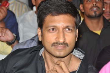 Run Raja Run Audio Launch